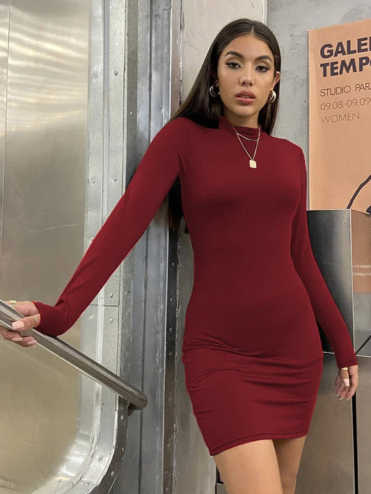 Woman's Long Sleeve Slim Turtleneck Pleated Ruched Short Dress